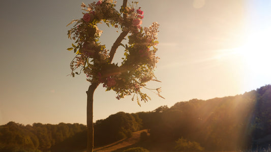 Ode to Midsummer