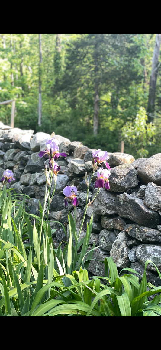 Newness in the Air