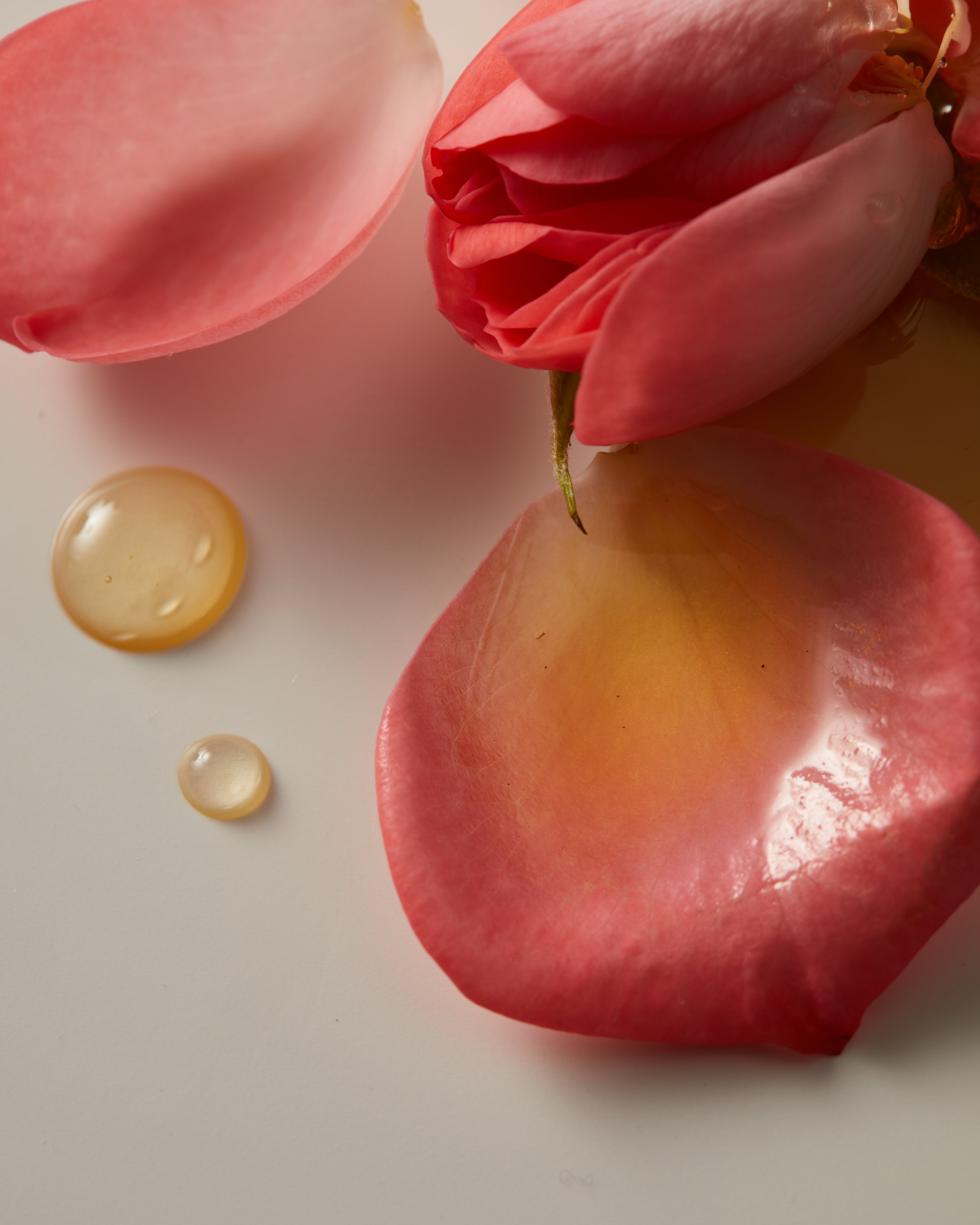 Rosehip Oil