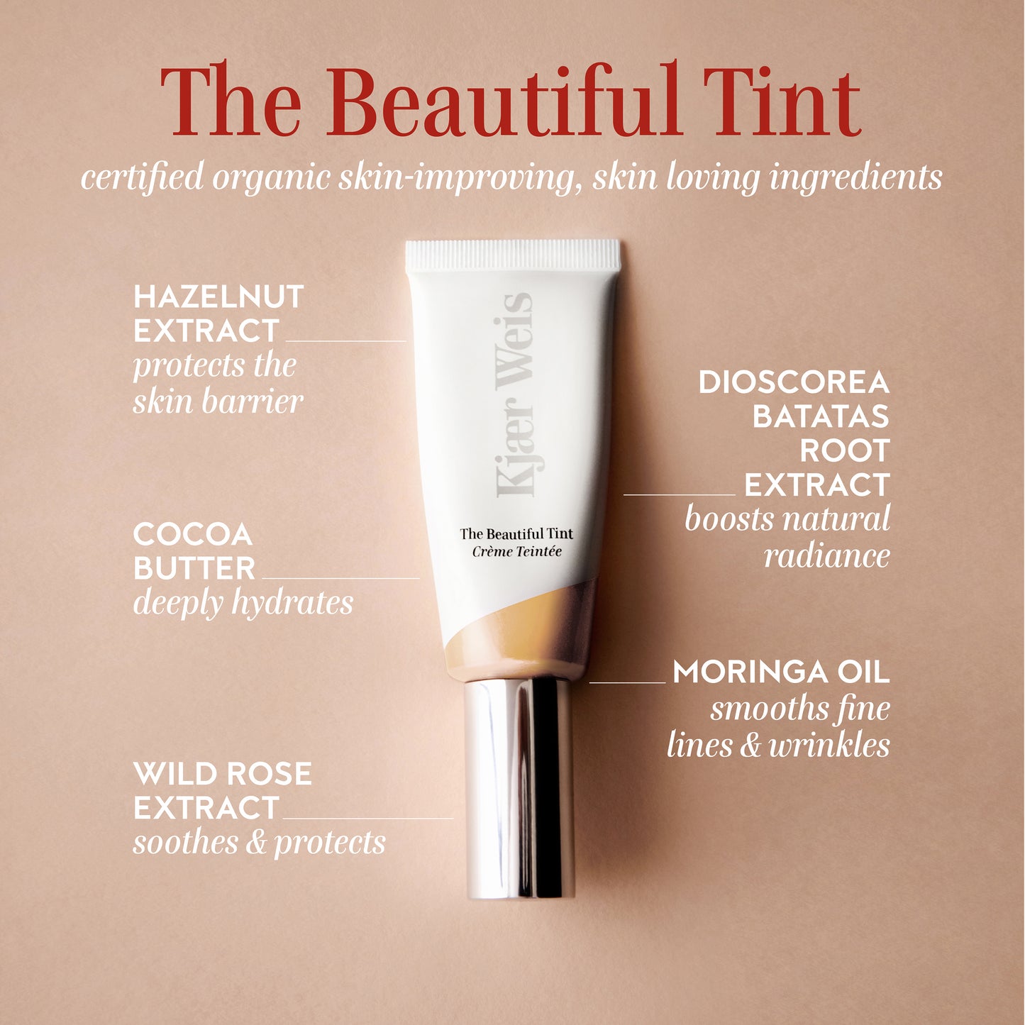The Beautiful Tint--Fair 5