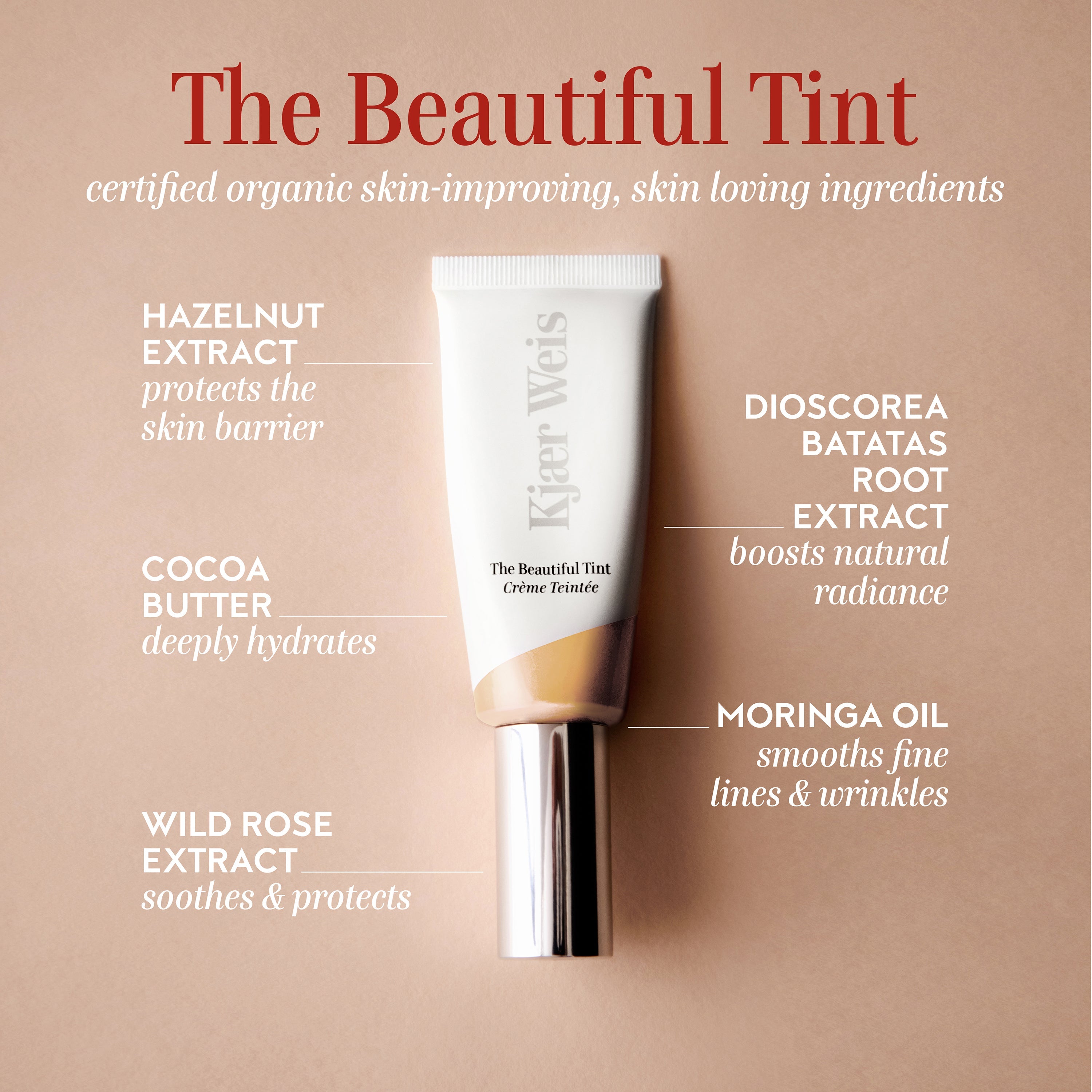 The Beautiful Tint / Fair 5