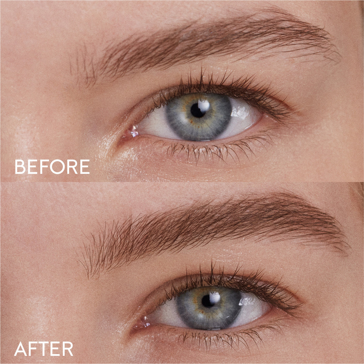 Before and after comparison of a person's eyebrows, showing the visible difference after using the medium brown brow pencil.
