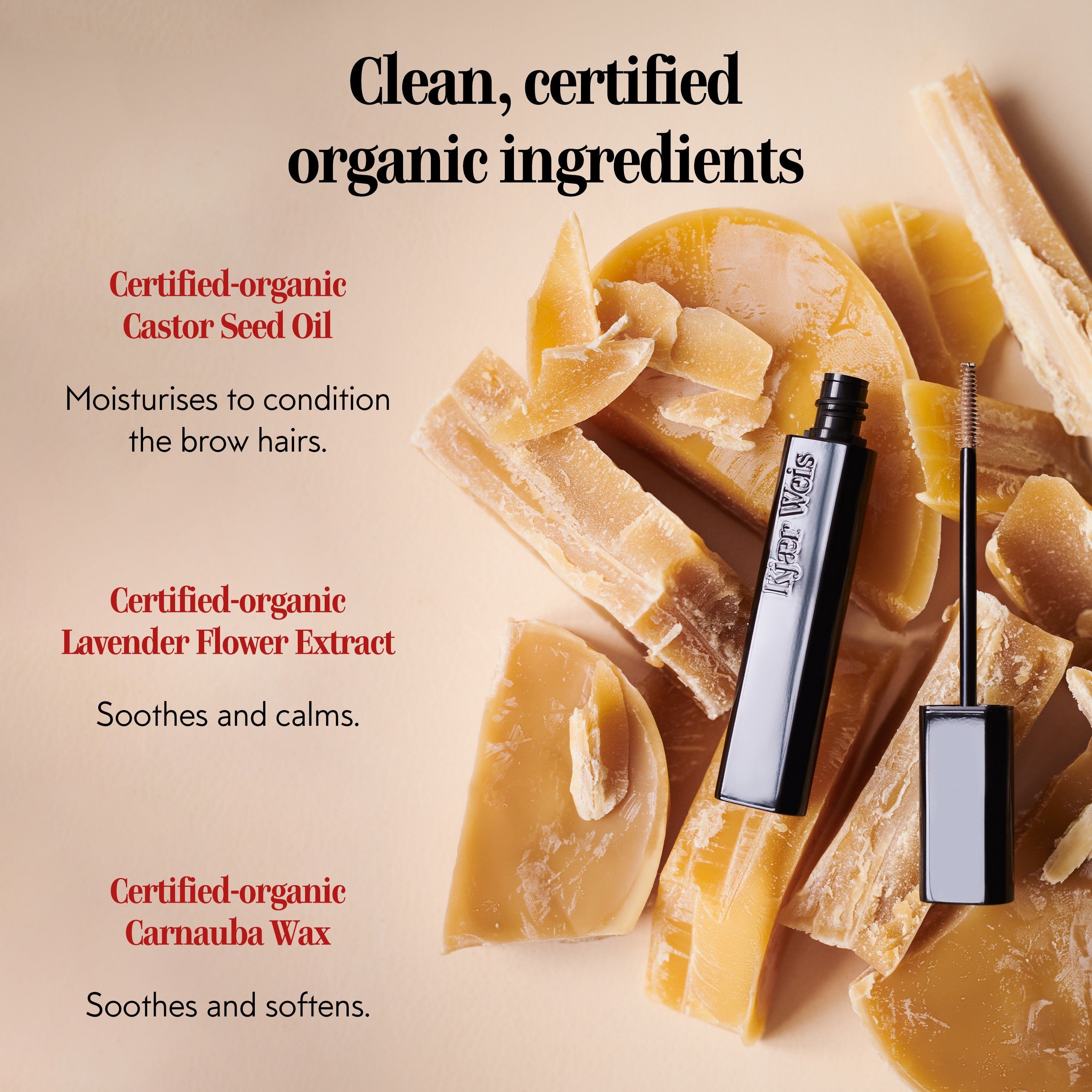 The Brow Gel / Deep Brown