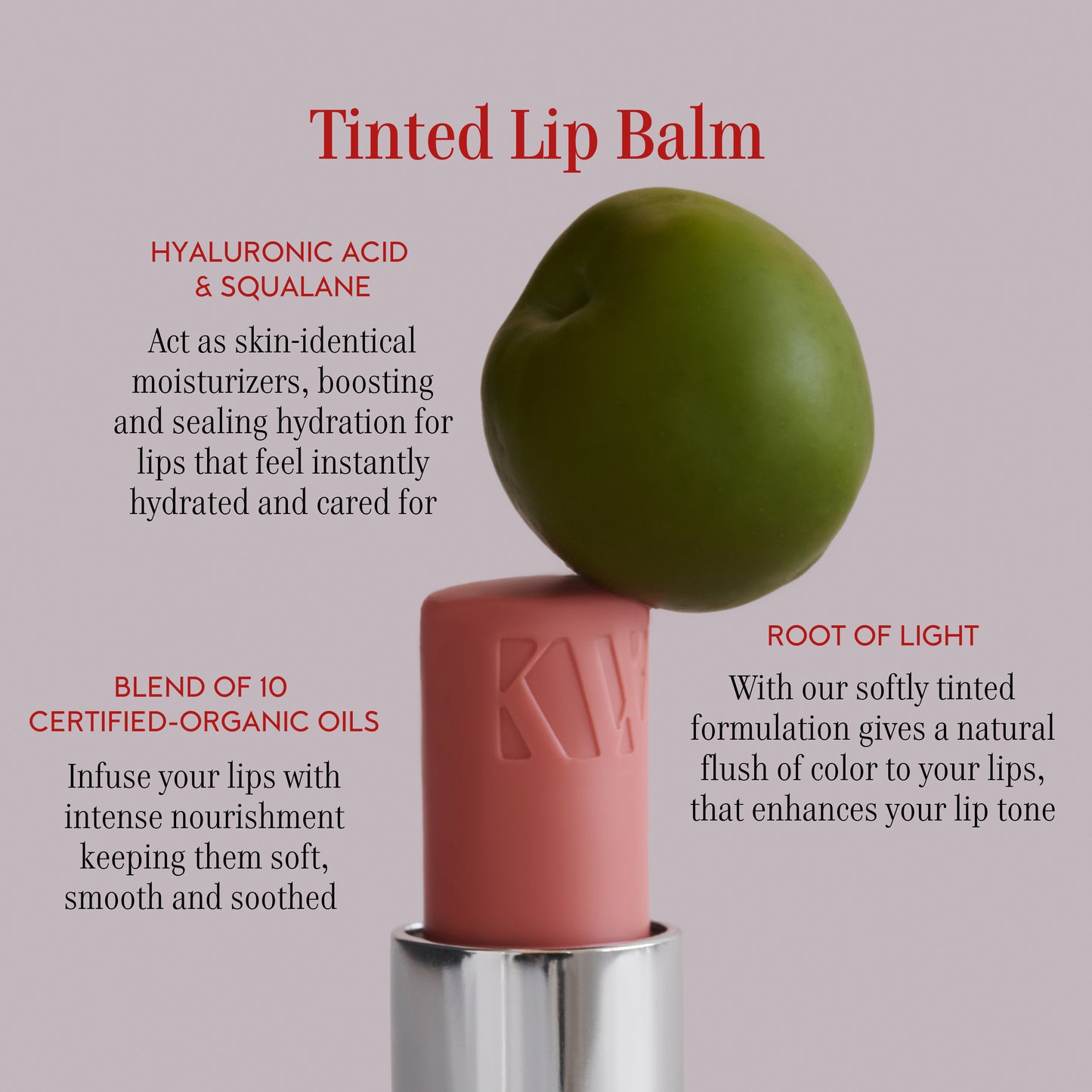 Tinted Lip Balm--Gracious