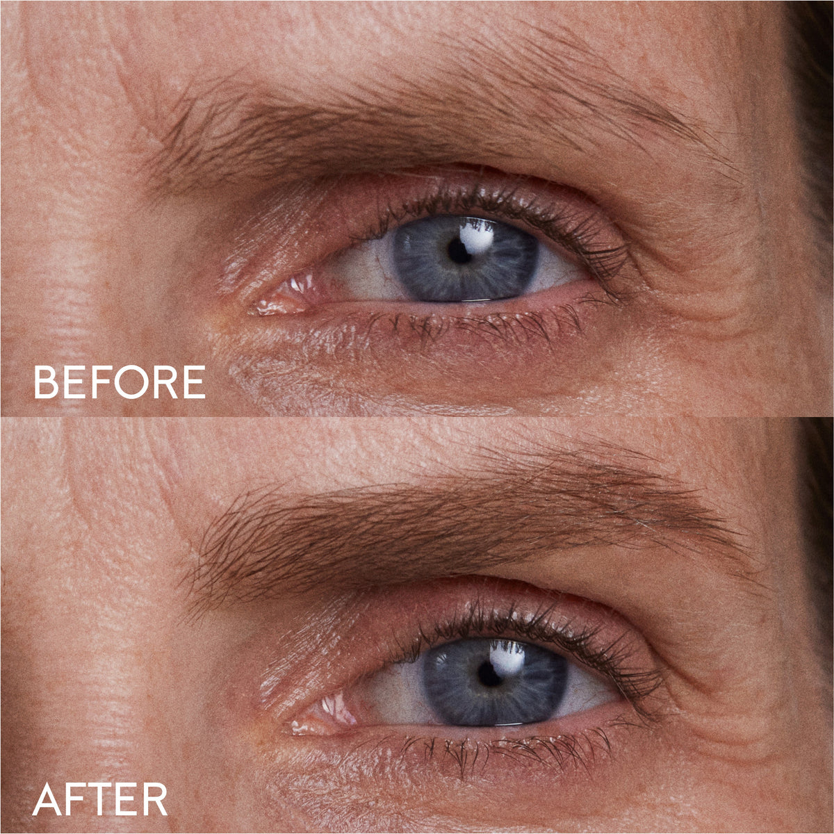Before and after comparison of a person's eyebrows, showing the visible difference after using the blonde brow pencil.