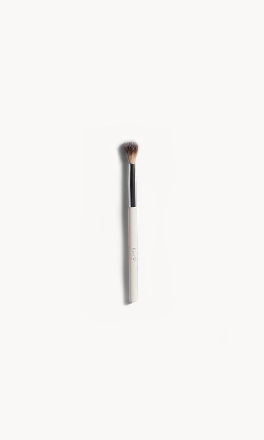 brush with white and silver handle and mid-length brown bristles